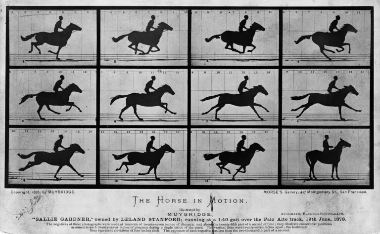 Cinema: How Films Are Made and Why They Matter